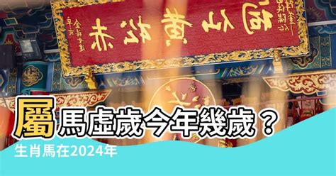 屬豬幾歲虛歲|屬豬今年幾歲 豬年是民國西元哪幾年